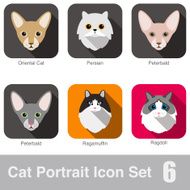 Cat breed face cartoon flat icon series N8