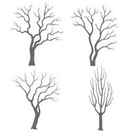 Tree silhouettes N28