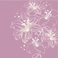 Floral background with blooming lilies N3