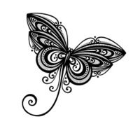 Vector Beautiful Dragonfly Exotic Insect N6