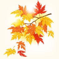 Autumn Maple Tree - Illustration N2