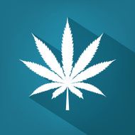 Cannabis leaf icon silhouette symbol Vector - Illustration