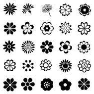 flower vector set N2
