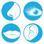 Nose eye mouth and ear pictograms N2