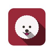 Bichon Frise dog face flat design
