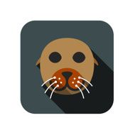 Fur Seal animal face flat design