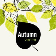 autumn leaf background N47