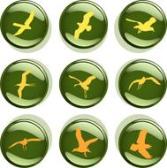 Flying Birds Badges