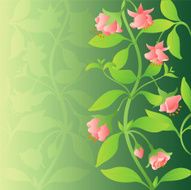 Floral ornament N167