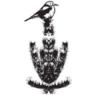 Bird on Pine Branch