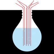bulb concept N15