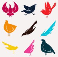 Birds Set N12