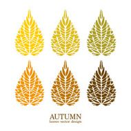 Autumn vector leaves