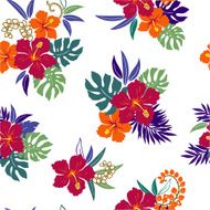 hibiscus repeats N60