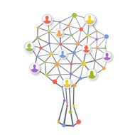 Human tree network