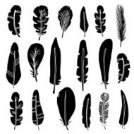Hand drawn bird feathers N2