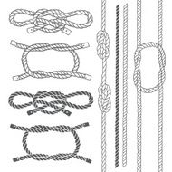 Set of marine rope knots Vector elements