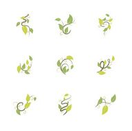 Simple Leaf Vine Icons Set of Nine Isolated on White