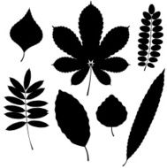Vector Collection of Leaf Silhouettes isolated on white background