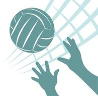Volleyball N30