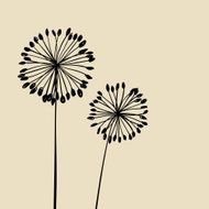 Abstract Dandalions background N8