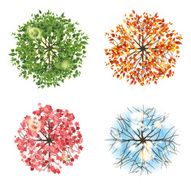 Tree icon in 4 different seasons - top view