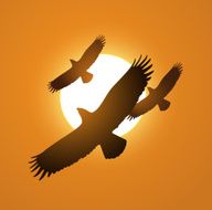 Three eagles above the sunset flying vector illustration