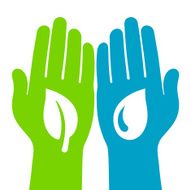 hands holding green leaf and cleen water
