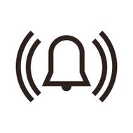 Alarm Icon N15