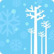 winter N37