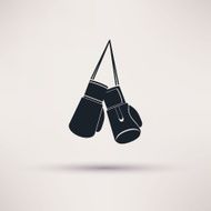 Boxing label and icon in flat style Vector