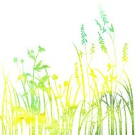 Silhouettes of flowers and grass N80