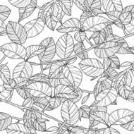 Leafs N35