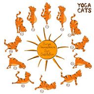Cat doing yoga position of Surya Namaskara N2