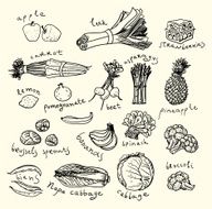 Healthy food Sketch style N2