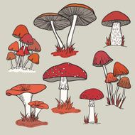 Vector set with mushrooms N4