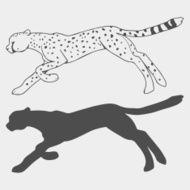 Cheetah in motion outline and silhouette