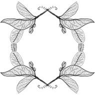 Leaves contours on white background floral border Sketch frames