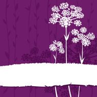 Floral background - Anise flowers