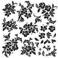 hibiscus N22