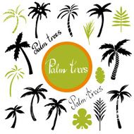 Tropical palm trees and leaves N2