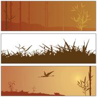 Fall Nature Elements