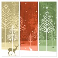 Xmas forest