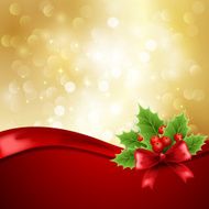 Christmas decoration with holly and bow N2