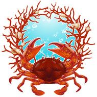 Crab and red coral frame