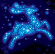 Christmas Deer N16