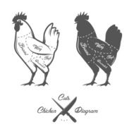 Chicken Cuts Diagram N2