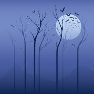 Scary Night N4