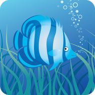 Tropical fish under water N3