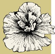 hibiscus flower N15